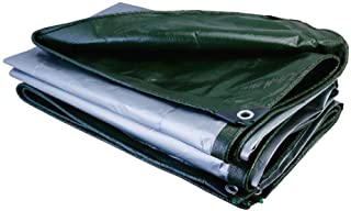 LSXIAO-Lonas Impermeables Exterior Parasol Aislamiento Invernadero O Dosel Cubierto. Ojal Galvanizado Carpa De Camping for Exterior- 21 Tallas (Color : Green- Size : 2x3m)