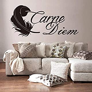 zhuziji Glow In The Dark 3D Wall Stickers-French Reference Carpe Diem Wall Home Nordic Bedroom- Campus- Kindergarten with Vinyl Pvc52x112cm